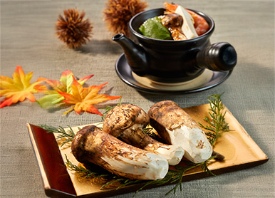 【9/2～11/30期間限定】<br>秋の特別会席～松茸尽くし～