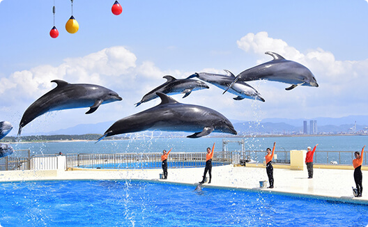 周辺施設・福岡観光のご案内