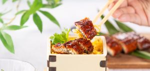 鰻を堪能する夏会席